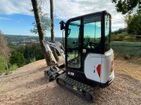 BOBCAT E19